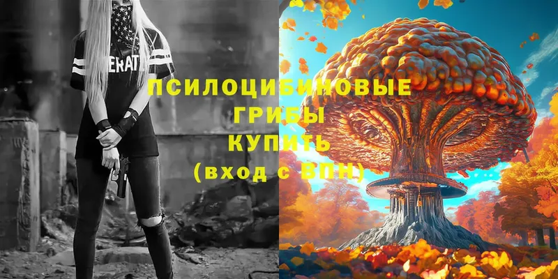 Галлюциногенные грибы Psilocybe  закладка  МЕГА онион  Кирс 