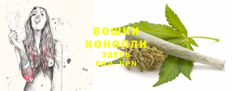 Бошки марихуана OG Kush  продажа наркотиков  Кирс 